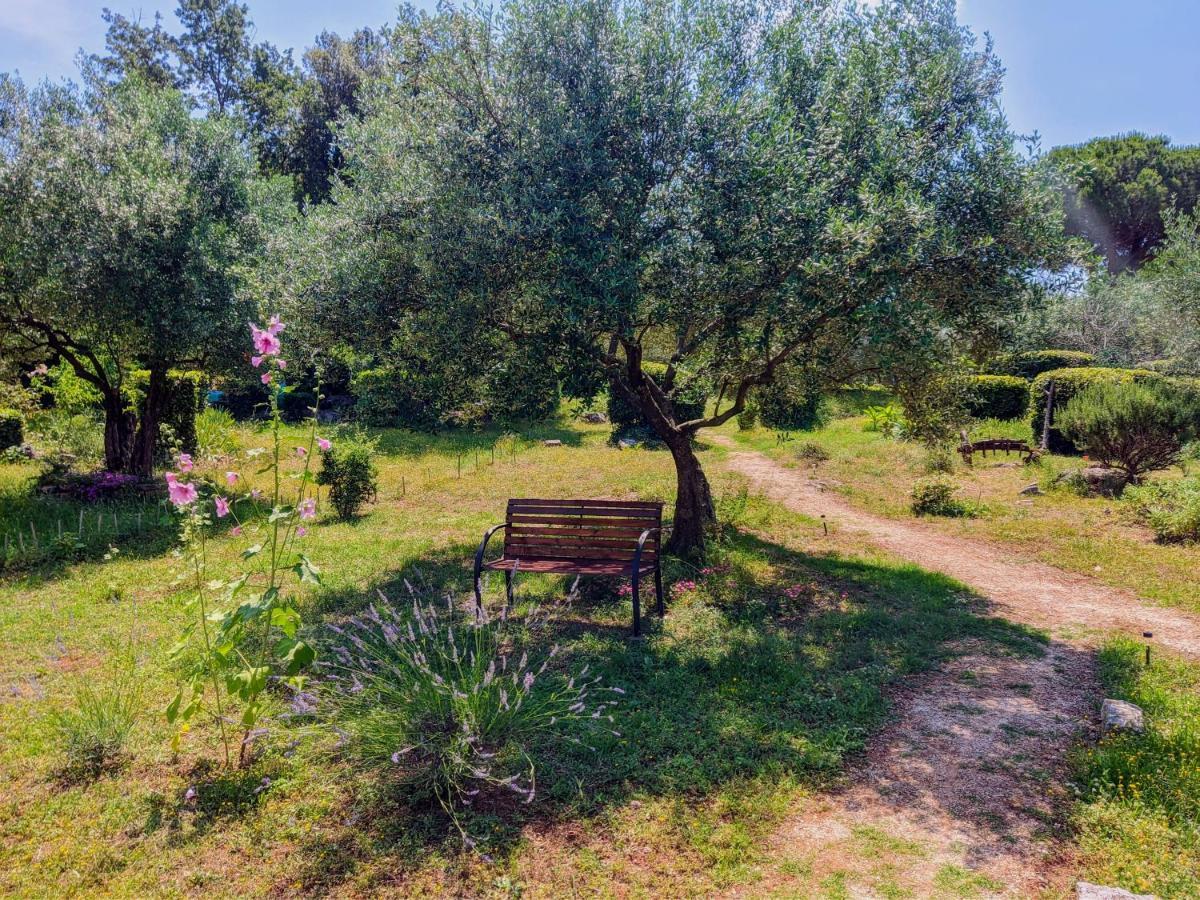 Apartment Rosa 2 Rovinj Dış mekan fotoğraf